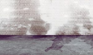 Vocht en schimmel in de kelder: hoe ontstaat het en wat kun je doen?